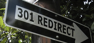 Belangrijk voor SEO: 301