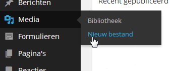 Upload nieuw bestand naar WordPress
